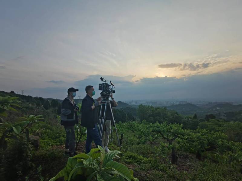 创意破圈！老河口市电商产品宣传视频用故事化叙事引爆流量