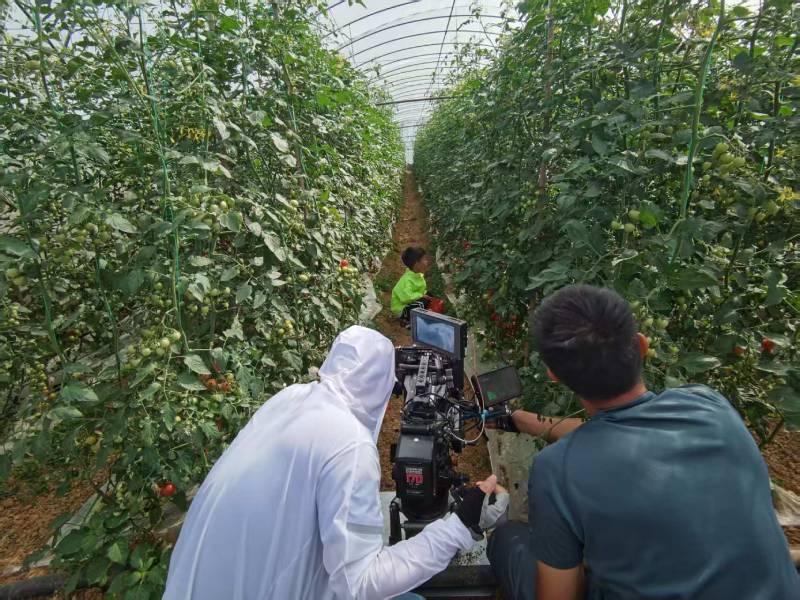 老河口市产品宣传视频拍摄公司进阶指南，助力品牌抢占传播高地